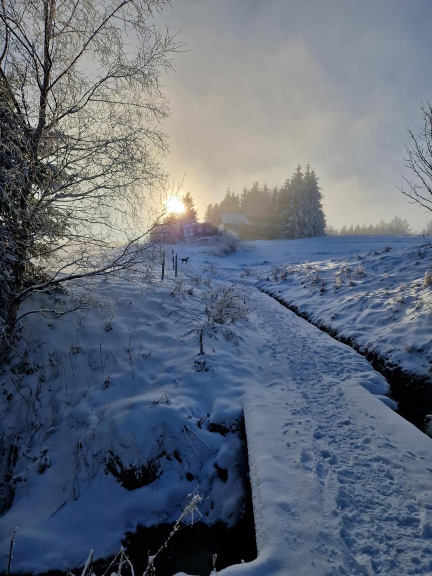 Chata Jeleni Drevenice S Vlastni Virivkou Horni Halze Exterior photo